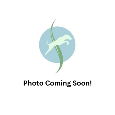Photo Coming Soon
